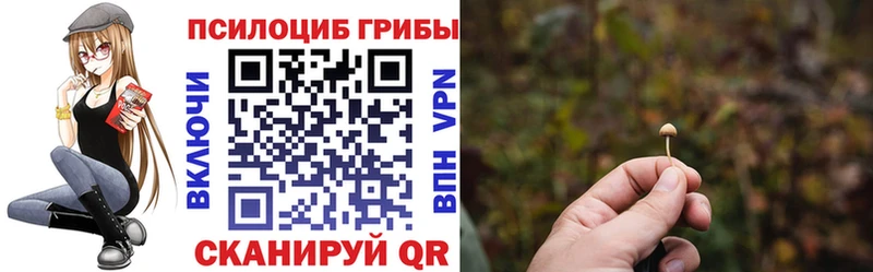 Псилоцибиновые грибы мицелий  магазин продажи наркотиков  Сокол 