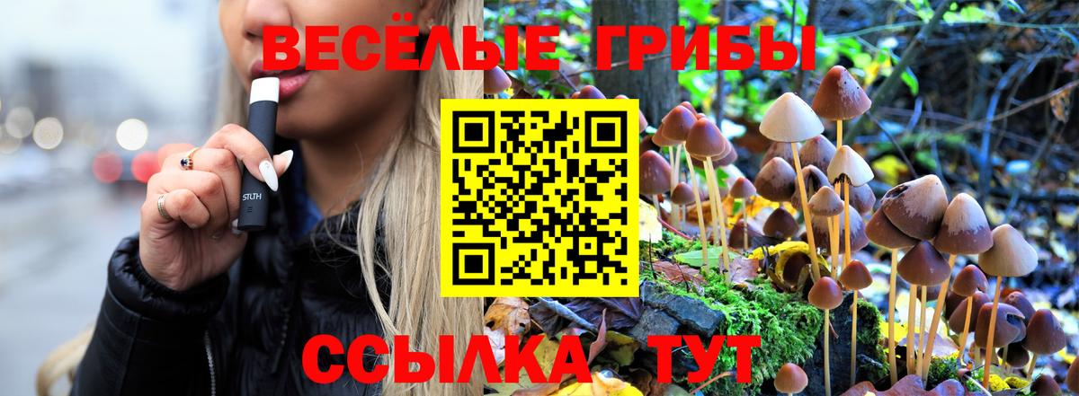 хочу   Галлюциногенные грибы ЛСД  Вход с VPN  Сокол 